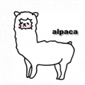 alpaca88さん