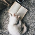 読む猫さん