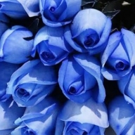 青い花束さん